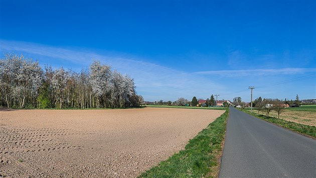 Před několika lety opravená silnice u Charbuzic má být hlavním příjezdem pro těžké náklaďáky se zeminou. Přitom se na ní sotva mine osobní vůz s autobusem (16. 4. 2020).