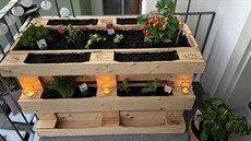 Až do 26. května můžete posílat své projekty, kterými jste se bavili v době,... Až do 26. května můžete posílat své projekty, kterými jste se bavili v době,...