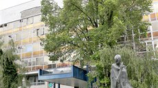 Bílý dům dominuje brněnskému Žerotínovu náměstí od 70. let minulého století. Bílý dům dominuje brněnskému Žerotínovu náměstí od 70. let minulého století.