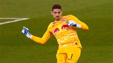 Cičan Stankovič ze Salcburku rozehrává. Cičan Stankovič ze Salcburku rozehrává.