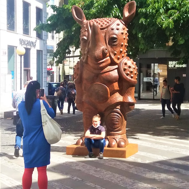 Na Jungmannově náměstí se objevil nosorožec. Jedná se o bronzovou sochu od Jaroslava Róny, která byla instalována v rámci mezinárodního sochařského festivalu Sculpture Line. Festival neprobíhá pouze v Praze, ale i v dalších městech České republiky. Lidé