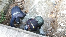 Do pátrání po pohřešované čtyřiasedmdesátileté ženě z Oskavy na Šumpersku se v... Do pátrání po pohřešované čtyřiasedmdesátileté ženě z Oskavy na Šumpersku se v...