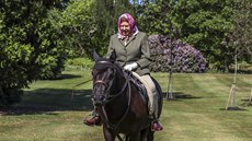 Čtyřiadevadesátiletá britská královna Alžběta II v sedle koně Fell Ponyho při... Čtyřiadevadesátiletá britská královna Alžběta II v sedle koně Fell Ponyho při...