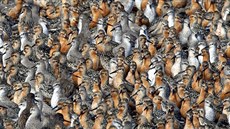 Dechberoucí série fotografií dokládá, že řada druhů zvířat se cítí bezpečně jen... Dechberoucí série fotografií dokládá, že řada druhů zvířat se cítí bezpečně jen...