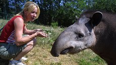 Jako mluvčí ústecké zoo pracovala Věra Vrabcová od roku 1994. Jako mluvčí ústecké zoo pracovala Věra Vrabcová od roku 1994.
