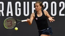 Barbora Strýcová v duelu proti Karolíně Plíškové. Barbora Strýcová v duelu proti Karolíně Plíškové.