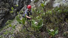 Botanici a geologové zkoumali Čertovu zahrádku na úbočí Studniční hory, která... Botanici a geologové zkoumali Čertovu zahrádku na úbočí Studniční hory, která...