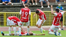 Pardubičtí fotbalisté slaví gól Tomáše Čelůstky v zápase se Sokolovem. Pardubičtí fotbalisté slaví gól Tomáše Čelůstky v zápase se Sokolovem.