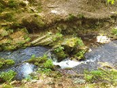Hydrologové se na Černé Opavě v Jeseníkách pustili do zjišťování toho, jaký má... Hydrologové se na Černé Opavě v Jeseníkách pustili do zjišťování toho, jaký má...