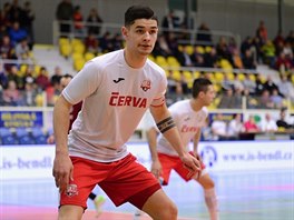 David Černý