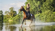 Pardubický region je protkaný šesti sty kilometry koňských turistických stezek. Pardubický region je protkaný šesti sty kilometry koňských turistických stezek.