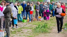 Fronta na samosběr jahod ve Lhotě pod Libčany nedaleko Hradce Králové. (9. 6.... Fronta na samosběr jahod ve Lhotě pod Libčany nedaleko Hradce Králové. (9. 6....