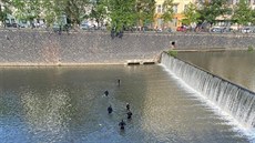 Policisté i hasiči více než hodinu hledali v řece Radbuze v centru Plzně muže,... Policisté i hasiči více než hodinu hledali v řece Radbuze v centru Plzně muže,...
