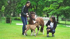 V mariánskolázeňském parku miniatur Boheminium mohou lidé vidět zástupce... V mariánskolázeňském parku miniatur Boheminium mohou lidé vidět zástupce...