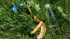 V přírodě najdete směs odpadků, přitom by stačilo vzít je do batohu a doma je... V přírodě najdete směs odpadků, přitom by stačilo vzít je do batohu a doma je...