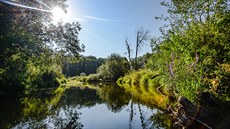 Unikátní delta řeky Moravy Unikátní delta řeky Moravy