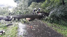 V neděli do 13:00 hasiči v Moravskoslezském kraji zasahovali kvůli počasí u... V neděli do 13:00 hasiči v Moravskoslezském kraji zasahovali kvůli počasí u...