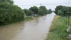 Rozvodnný potok v Dolních edicích na Pardubicku. (29. ervna 2020)