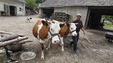 „Tohle už uvidíte jenom v Předboři a v Rumunsku,“ směje se na fotografa MF DNES... „Tohle už uvidíte jenom v Předboři a v Rumunsku,“ směje se na fotografa MF DNES...