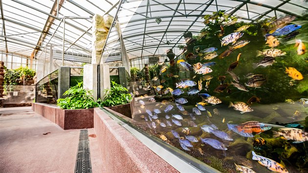 Pavilon Vodní světy napodobí prostředí afrického močálu, jezera i řeky (15. 6.... Pavilon Vodní světy napodobí prostředí afrického močálu, jezera i řeky (15. 6....