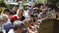 I v tomto roce se návštěvníci mohou během prázdnin těšit na oblíbené letové... I v tomto roce se návštěvníci mohou během prázdnin těšit na oblíbené letové...