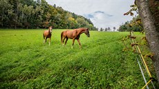 Louka u proslulé chaty Hrádeček, na které chtěla Dagmar Havlová vystavět... Louka u proslulé chaty Hrádeček, na které chtěla Dagmar Havlová vystavět...