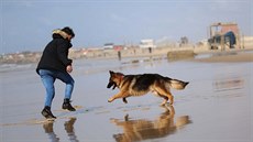 Palestinec si hraje se svým psem na městské pláži v Gaze. (1. března 2020) Palestinec si hraje se svým psem na městské pláži v Gaze. (1. března 2020)