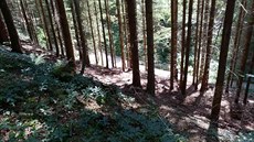 Hasiči zasahovali ve velmi obtížném terénu. Hasiči zasahovali ve velmi obtížném terénu.