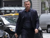 Liev Schreiber jako Raymond „Ray“ Donovan