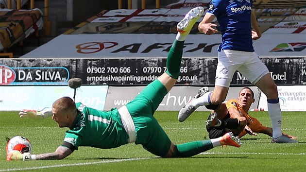 Daniel Podence z Wolverhamptonu sleduje, jak si brank Evertonu Jordan Pickford poradil s jeho zakonenm.