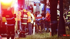 Záchranáři zasahují u nehody dvou vlaků na koridoru u Českého Brodu, na místě... Záchranáři zasahují u nehody dvou vlaků na koridoru u Českého Brodu, na místě...