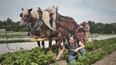 Manželé Rosenbaumovi už patnáct let úspěšně hospodaří na Frýdlantsku. Manželé Rosenbaumovi už patnáct let úspěšně hospodaří na Frýdlantsku.