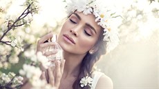 Ilustrační fotografie Ilustrační fotografie