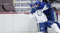 V NHL je v plném proudu příprava na restart sezony. Někteří hráči se do ní ale... V NHL je v plném proudu příprava na restart sezony. Někteří hráči se do ní ale...