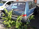 Nachází se v prostoru mezi Saratovskou a Bečvářovou ulicí u hotelového parkoviště. Nachází se v prostoru mezi Saratovskou a Bečvářovou ulicí u hotelového parkoviště.