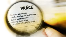 proměna trhu práce proměna trhu práce