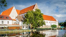 Strom stojí u Slepého ramene řeky Malše. Strom stojí u Slepého ramene řeky Malše.