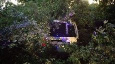 Silný vítr vyvrátil strom, který spadl na projíždějící auto. Silný vítr vyvrátil strom, který spadl na projíždějící auto.