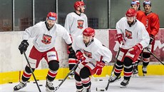 Hokejisté hradeckého Mountfieldu konečně vyjeli v přípravě na led, tým se na... Hokejisté hradeckého Mountfieldu konečně vyjeli v přípravě na led, tým se na...