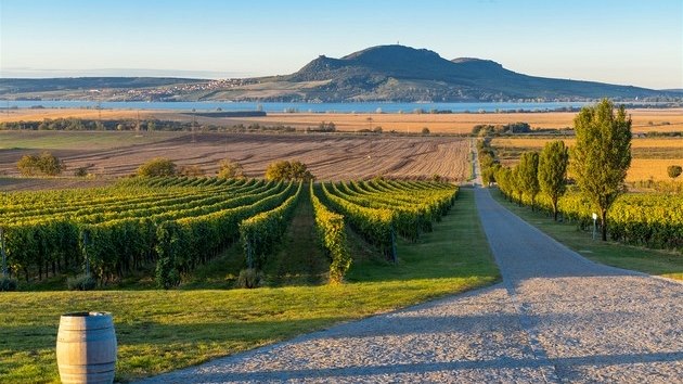 Skvělá vína jako turistický cíl? Na jižní Moravě určitě! Skvělá vína jako turistický cíl? Na jižní Moravě určitě!