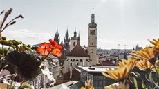 Česká republika Česká republika