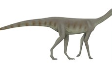 Asilisaurus kongwe byl vzhledově typickým zástupcem čeledi silesauridů,... Asilisaurus kongwe byl vzhledově typickým zástupcem čeledi silesauridů,...