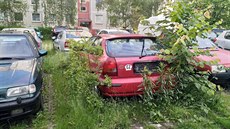 Zarostlý vrak v ulici Pod Lysinami v Praze 4. Zarostlý vrak v ulici Pod Lysinami v Praze 4.