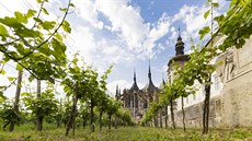 Vina Kutna Hora Vina Kutna Hora