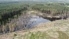 Bobr vytvořil z vysušeného rybníka u Nýřan na Plzeňsku díky své hrázi unikátní... Bobr vytvořil z vysušeného rybníka u Nýřan na Plzeňsku díky své hrázi unikátní...