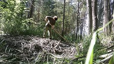 Fotopast zachytila muže u Nýřan na Plzeňsku, jak ničí bobří hráz. Podle... Fotopast zachytila muže u Nýřan na Plzeňsku, jak ničí bobří hráz. Podle...