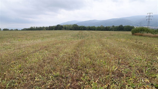 Bývalé letiště Chabařovice. Místo, kde firma chce stavět haly, je u sjezdu na dálnici D8 mezi Všebořicemi, Chlumcem a Chabařovicemi.