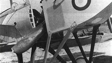 Bombardér Caproni Ca.4 byl nejvtí sériov vyrábný a operan nasazený trojploník.