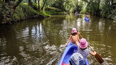 Divoká Orlice pod Kostelcem nad Orlicí Divoká Orlice pod Kostelcem nad Orlicí