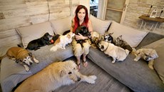 Nechci, aby odcházeli sami, říká majitelka hospice pro staré a týrané psy Eliška Vafková, předsedkyně neziskové organizace Dejte nám šanci, jež provozuje... | na serveru Lidovky.cz | aktuální zprávy